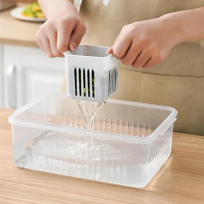 6 Grid Refrigerator drain storage Box